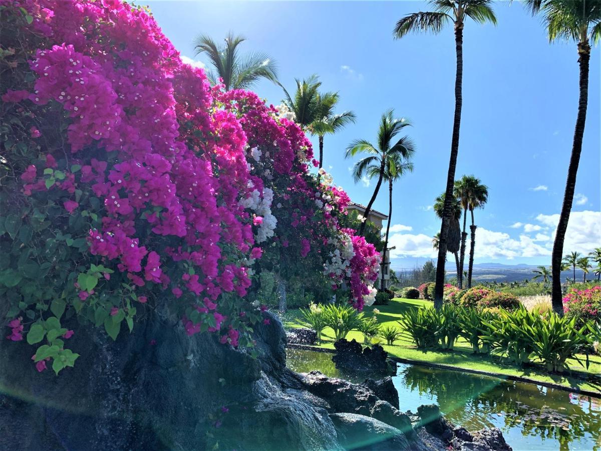Coconut At Shores - Waikoloa Beach Resort Zewnętrze zdjęcie