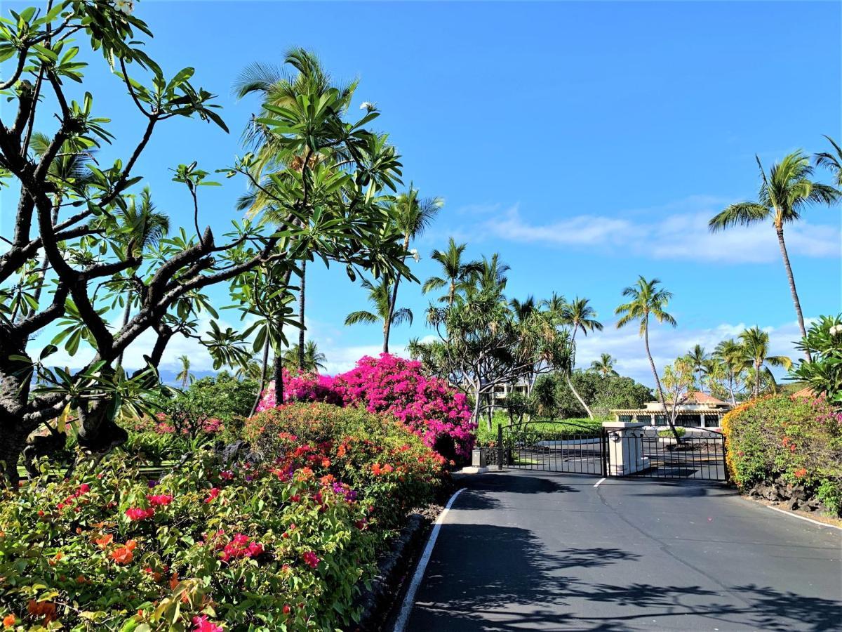 Coconut At Shores - Waikoloa Beach Resort Zewnętrze zdjęcie